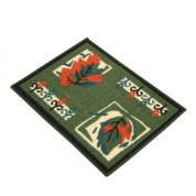 Коврик интерьерный BAIZHENG "Фриззе" 160*230см зеленый (Bay) (15)