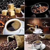 Фартук ПВХ Кофе 600*3000*0,75мм (5)