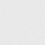 Голубка фон 06 обои дуплекс  0,53*10 С6 гр.5 (Саратов) 12