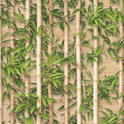 1123-019 Таиланд обои дуплекс 0,53*10 Д15 (Пермь) 16