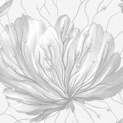 12500 Медея обои винил. на флиз.основе 2В1ГТФ1 1,06*10м (Гомель Фокс) 6