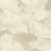 Лагуна Фон 61 (беж)  обои дуплекс 0,53*10 9С6К (Гомель) 15