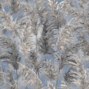 11416 Савой (11422,11426) обои дуплекс 0,53*10 (Гомель Фокс) 14 11416 Савой (11422,11426) обои дуплекс 0,53*10 (Гомель Фокс) 14