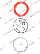 Ремкомплект MEGA/NORDBERG RKPD-50 для пресса 50 тонн