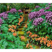 Тенистый парк Фотообои VIP 12л 294х260см (Тула)