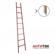 Лестница приставная стеклопластиковая ЛСПД-3,0 Е МГ