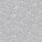 Модерн Лайн 21 (сер) обои дуплекс 0,53*10 9С6К (Гомель) 15 Модерн Лайн 21 (сер) обои дуплекс 0,53*10 9С6К (Гомель) 15