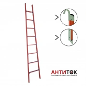 Лестница приставная стеклопластиковая ЛСПД-3,0 Е МГК