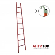 Лестница приставная стеклопластиковая ЛСПД-3,0 Е К