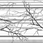 Панель стеновая ПВХ ветка серая 0,96х0,48м Регул (10)