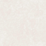 Ясень фон 02 (беж) обои симплекс  0,53*10 С14 гр.2 (Саратов) 15 Ясень фон 02 (беж) обои симплекс  0,53*10 С14 гр.2 (Саратов) 15