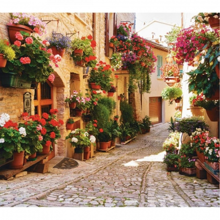 Цветочная улочка Фотообои VIP 12л 294х260см (Тула)