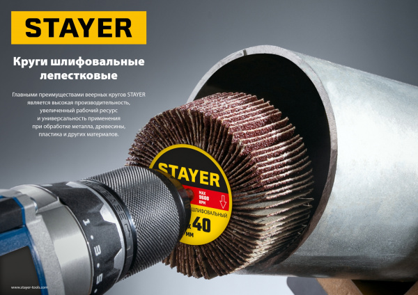STAYER d 60 x 30 мм, P60, на шпильке d 6 мм, Круг шлифовальный лепестковый (36608-060)