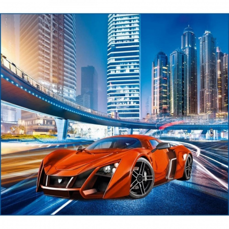 Авто-21Век Фотообои VIP  12л 294х260см (Тула)