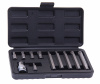 Набор бит RF-4112C SPLINE с битодержателем,11пр. 1/2"(L:30/75мм; M5,М6,М8,М10,M12), в пластик. кейсе ROCKFORCE /1