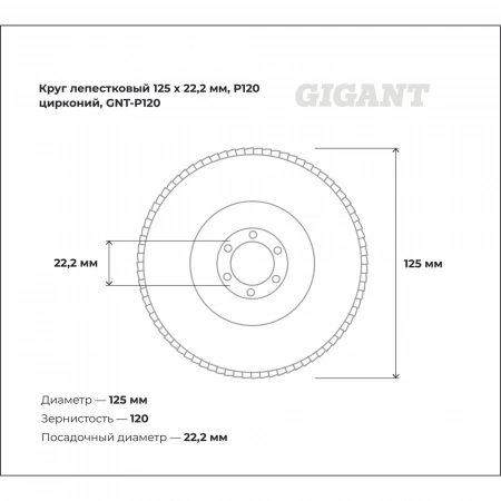Круг лепестковый Professional 125х22.2 мм, P120, цирконий Gigant GNT-P120