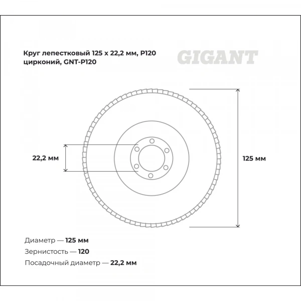Круг лепестковый Professional 125х22.2 мм, P120, цирконий Gigant GNT-P120