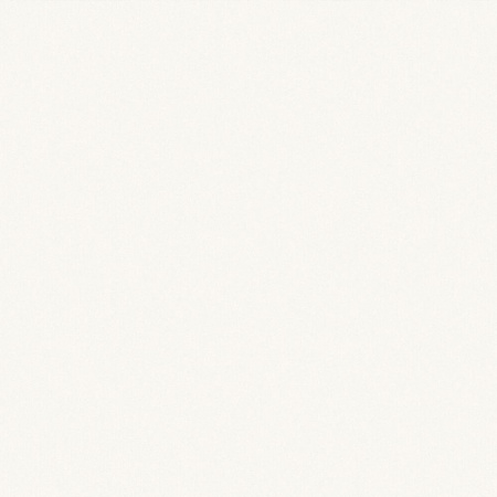 8904-00 Сафари (8903-18) обои вин. на флиз. основе 1,06*10 (WallSecret  Basic) 6