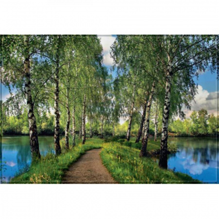 Ф Березовая дорожка Фотообои на флиз. основе  400х270 см (Тула)