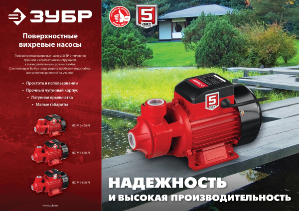 ЗУБР 650 Вт , поверхностный вихревой насос, корпус из чугуна (НС-М1-650-Ч)