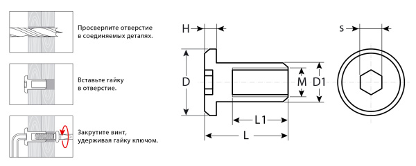 ЗУБР M6 x 12 мм, шест. 4 мм, цинк, 5 кг, гайка Эриксона с плоской головкой, Профессионал (303770-4)