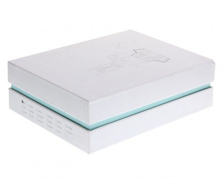 Автолампа H4 BRIGHT WHITE 10 SMD 6000K со встроенным блоком (2шт) 12V-24V MEGAPOWER /1/10