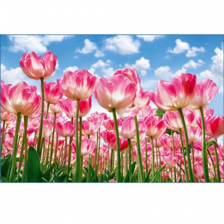 Цветочная поляна Фотообои VIP 16л 392*260см (Тула)