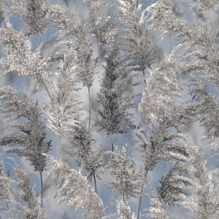 11416 Савой (11422,11426) обои дуплекс 0,53*10 (Гомель Фокс) 14