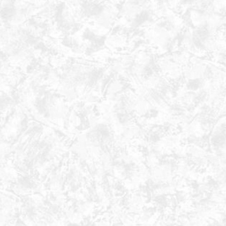 2813-3 обои вин. на флиз.основе г.т. 1,06*10 (Defender Color) 6