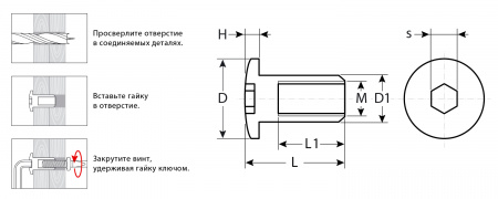ЗУБР M6 x 12 мм, шест. 4 мм, цинк, 5 кг, гайка Эриксона с полукруглой головкой, Профессионал (303760-4)