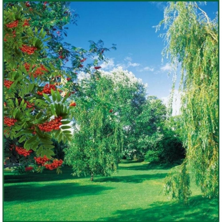 Рябинка Фотообои 6л 196х201см (Тула)