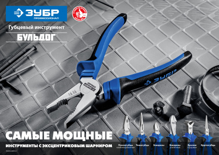 ЗУБР 180 мм, бокорезы, Профессионал (2201-5-18)